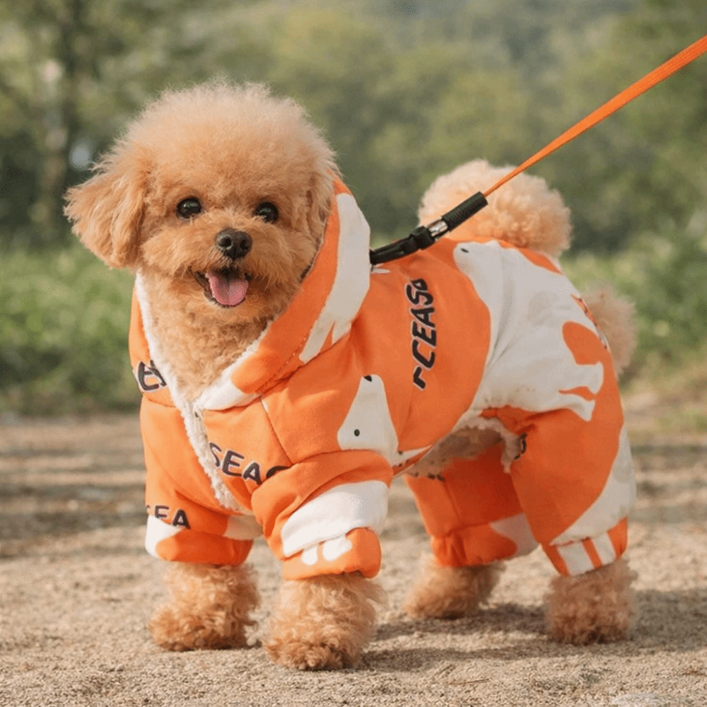 Winter Clothing Line - Sevimli Sıcak Köpek Kışlık Kıyafetleri Tüy