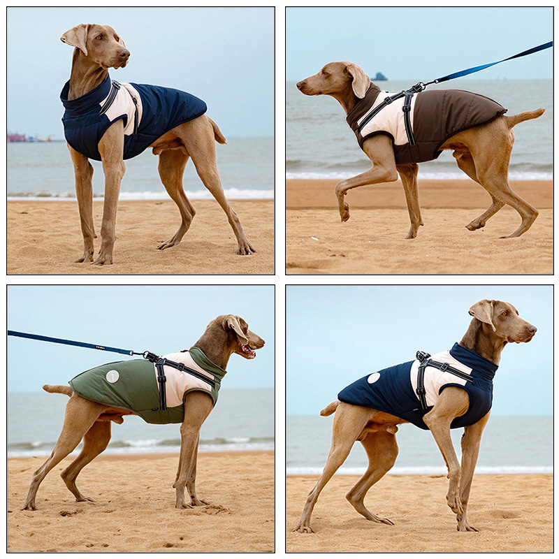 Sıcak Köpek Yeleği, Dahili Tas - Winter Clothing Line incelemesi ve fiyatı