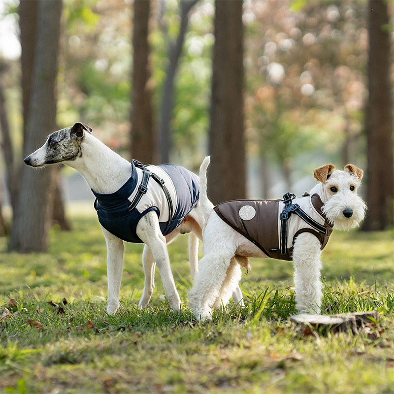 Sıcak Köpek Yeleği, Dahili Tas - Winter Clothing Line incelemesi ve fiyatı