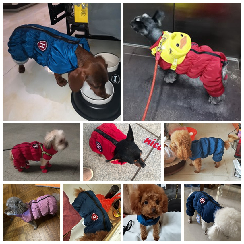 Fermuar Kar Unisex Köpek Su Ge - Winter Clothing For Babies incelemesi ve fiyatı