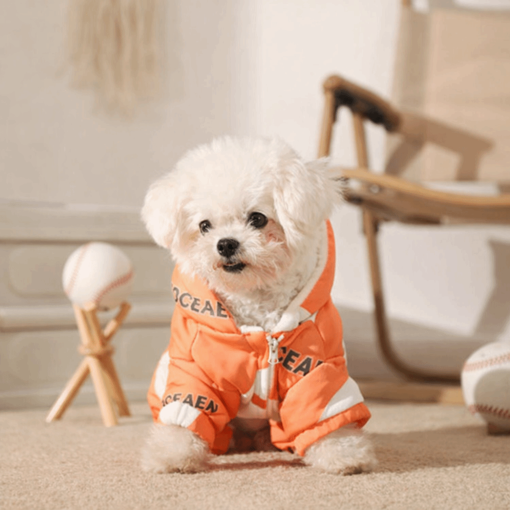 Sevimli Sıcak Köpek Kış Giysil - Winter Clothing Line incelemesi ve fiyatı