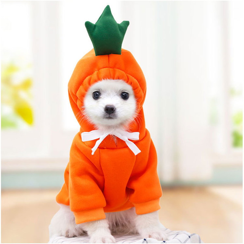 Sevimli Meyve Köpek Giysileri  - Winter Clothing Pictures incelemesi ve fiyatı