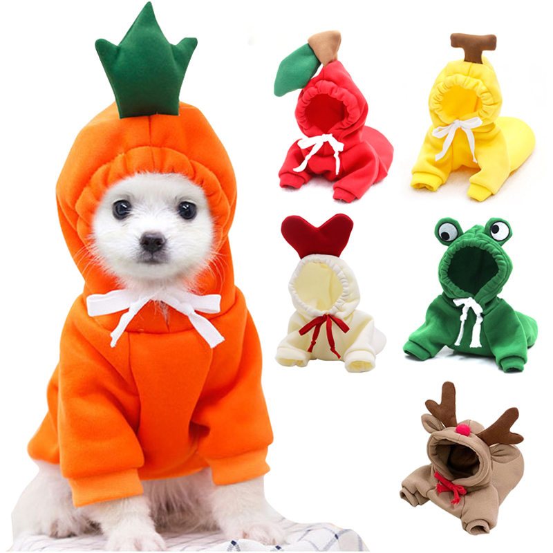 Sevimli Meyve Köpek Giysileri  - Winter Clothing Pictures incelemesi ve fiyatı