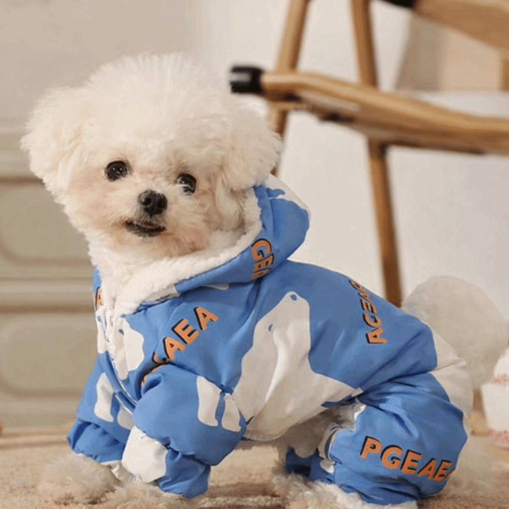 Sevimli Sıcak Köpek Kışlık Kıy - Winter Clothing Line incelemesi ve fiyatı