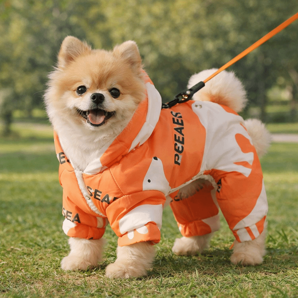 Sevimli Sıcak Köpek Kışlık Kıy - Winter Clothing Line incelemesi ve fiyatı
